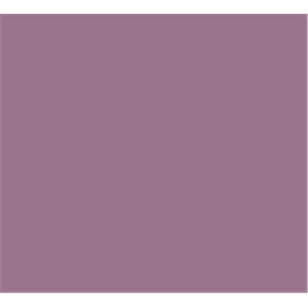 Tru-Color Paint Tru-Color Paint TCP1024 Mountbatten Pink Color TCP1024